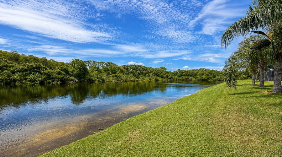 Odessa, Florida 33556, 4 Bedroom Bedrooms, ,3 Bathroombathrooms,Residential,For Sale,Abyss,0,Mfrtb8542609