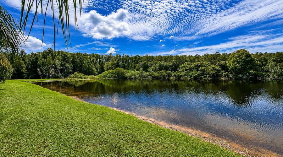 Odessa, Florida 33556, 4 Bedroom Bedrooms, ,3 Bathroombathrooms,Residential,For Sale,Abyss,0,Mfrtb8542609
