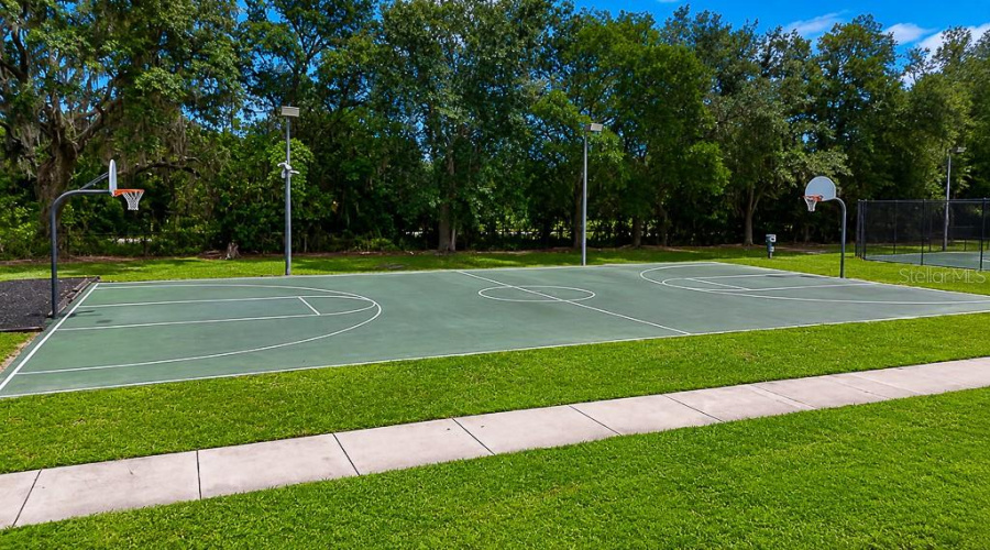 Odessa, Florida 33556, 4 Bedroom Bedrooms, ,3 Bathroombathrooms,Residential,For Sale,Abyss,0,Mfrtb8542609
