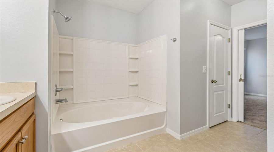 Tub With Shelves