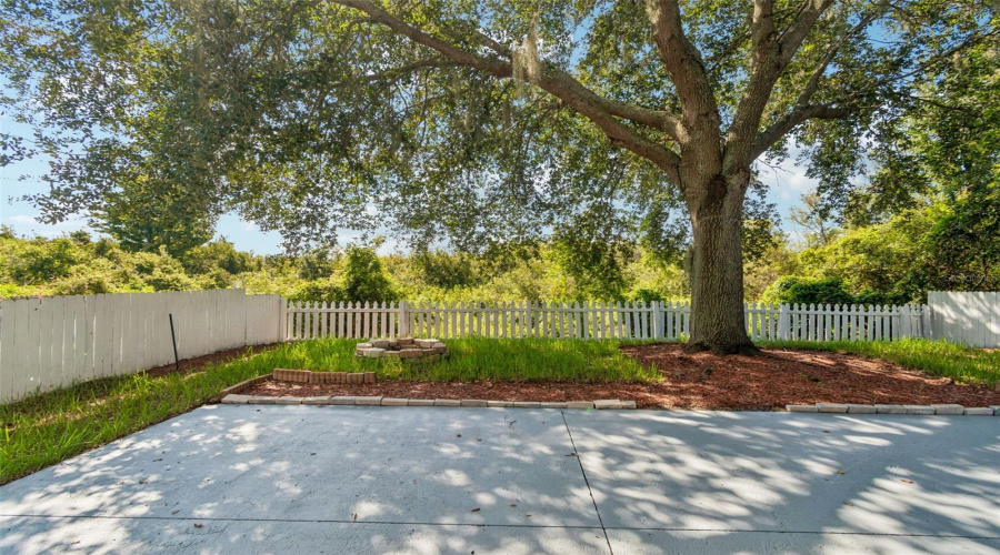 Privacy With Conservation View