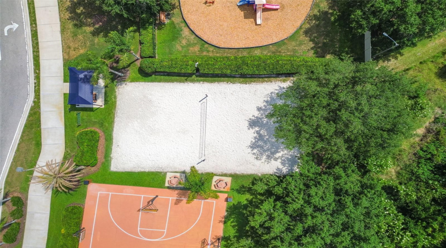 Volley Ball
