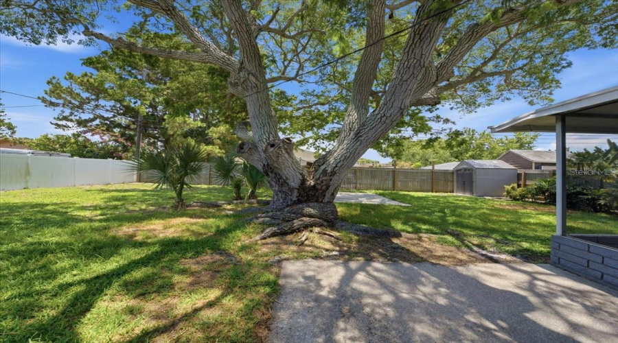 Largo, Florida 33771, 3 Bedroom Bedrooms, ,1 Bathroombathrooms,Residential,For Sale,4Th,0,Mfrtb8526545