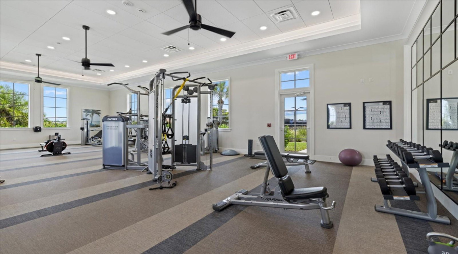 Gym