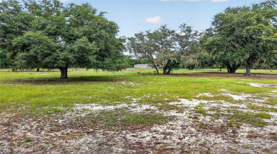 Ocklawaha, Florida 32179, 4 Bedroom Bedrooms, ,2 Bathroombathrooms,Residential,For Sale,Se Highway 464C,0,Mfrom731155