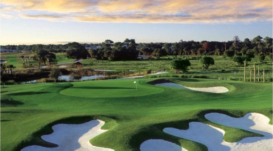 Golf Course View