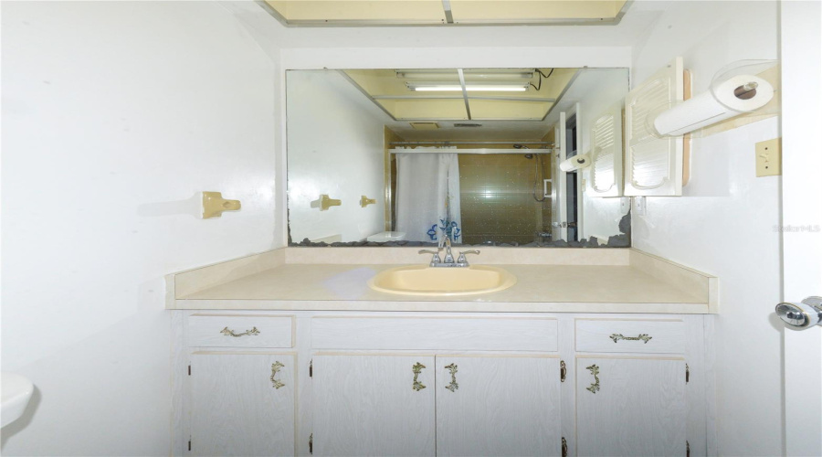 Guest Bath