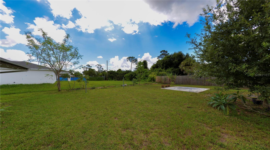Back Yard