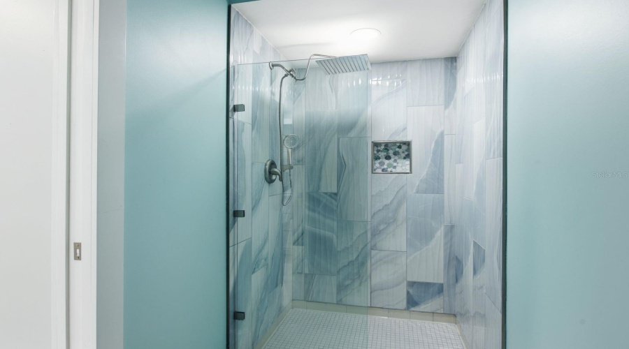Primary Shower