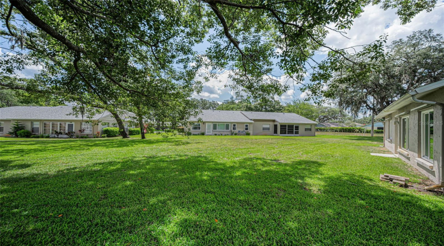 Backyard View - Common Area