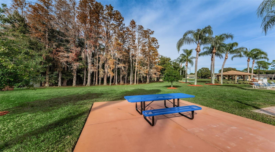 Heritage Lake 55+ Picnic Area
