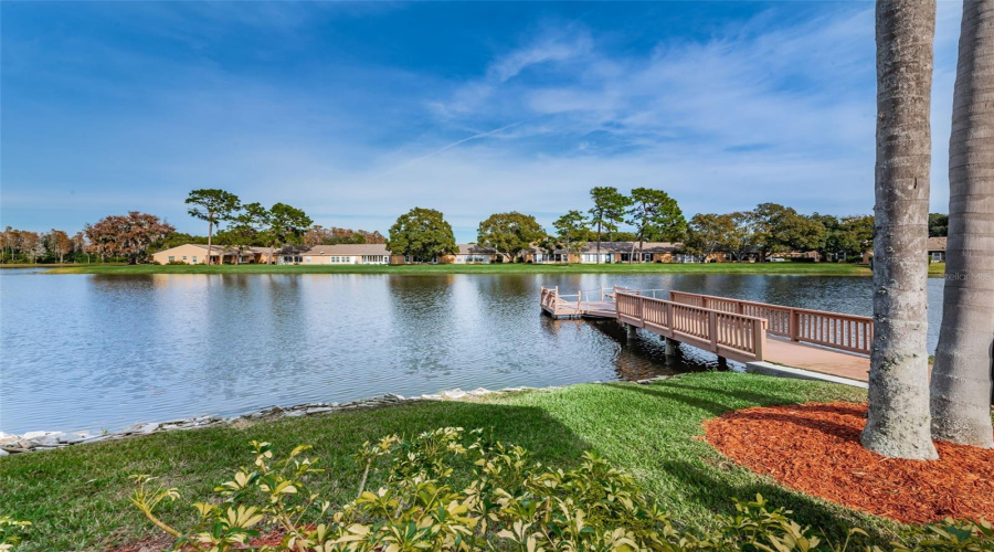 Heritage Lake 55+ Community Views