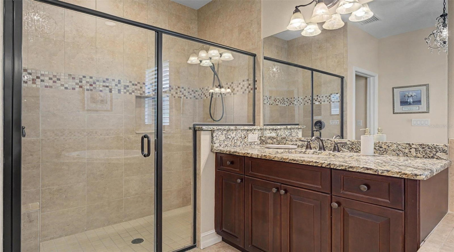 Oversized, Step In Shower