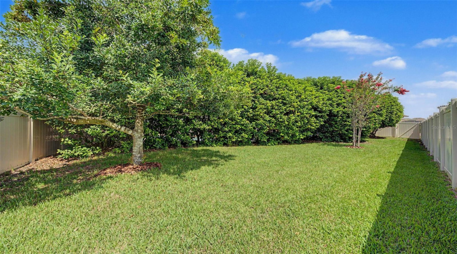 Plenty Of Greenspace