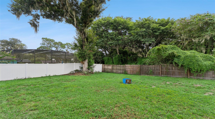 Backyard