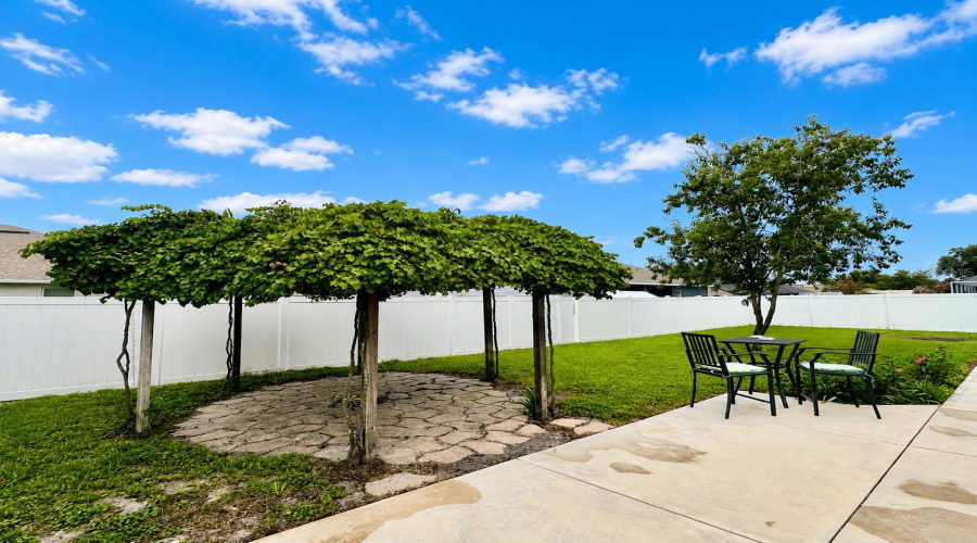 Back Yard With Grape Vine Gazebo