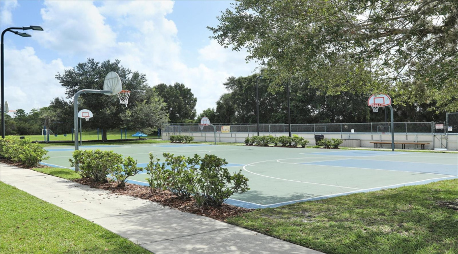 Basketball