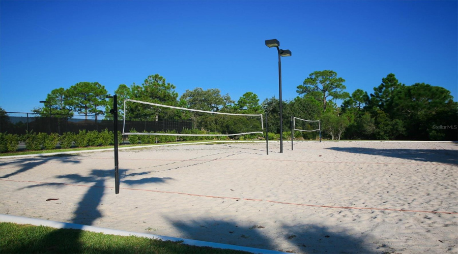 Vollyball