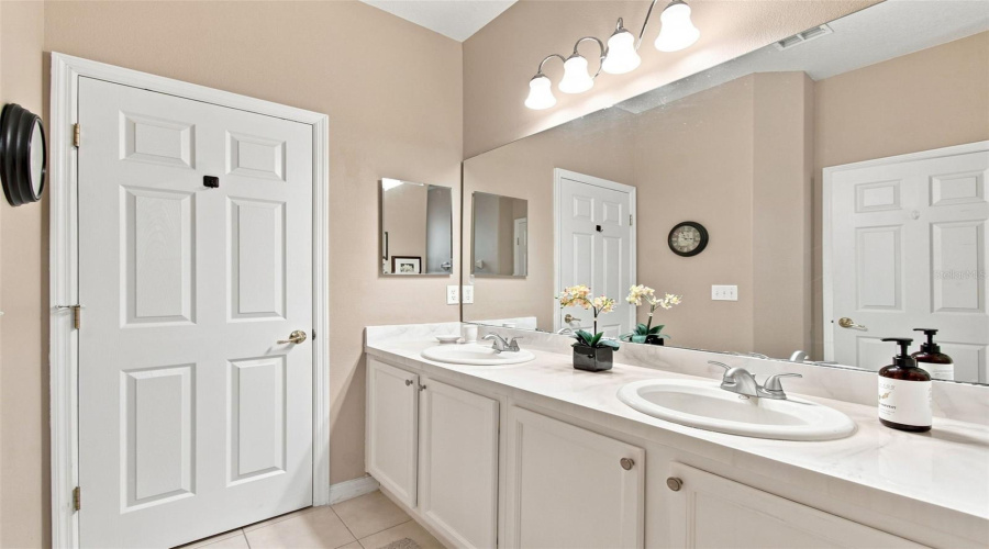 Raised Double Sinks