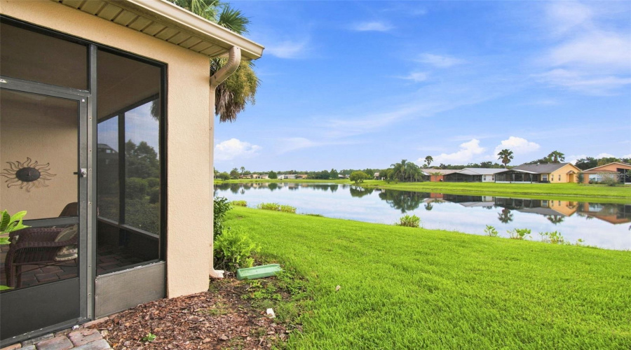 Pond View