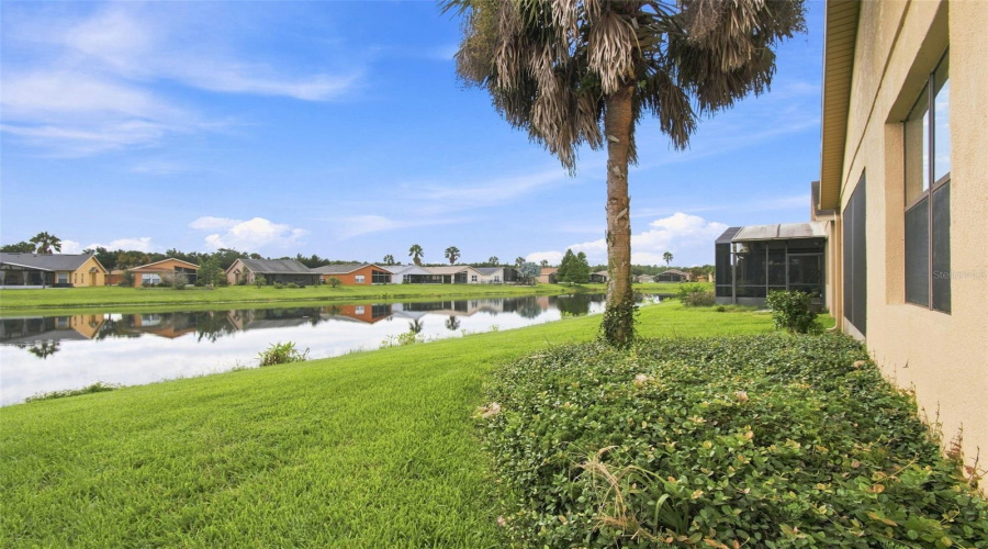 Wide Pond View