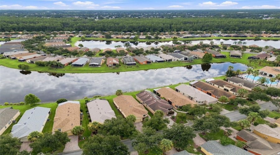 Pond Ariel View
