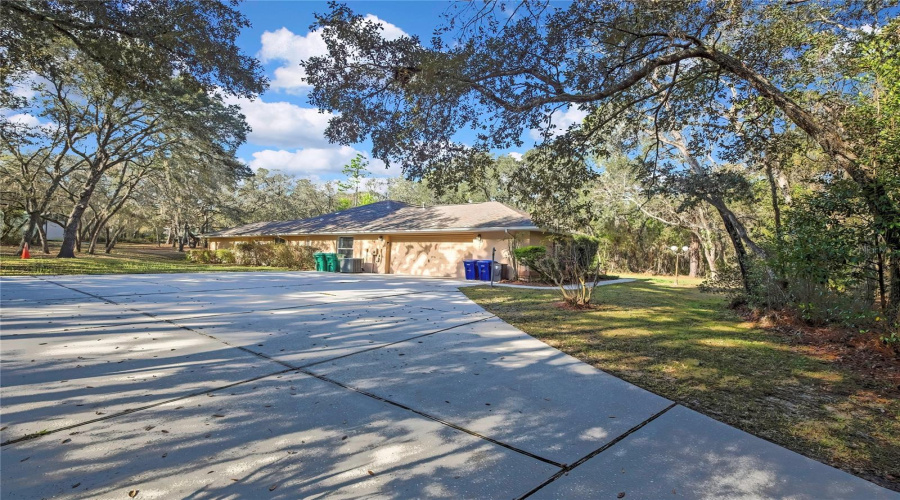 Driveway