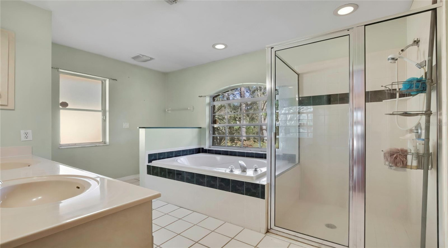 Master Bath 1