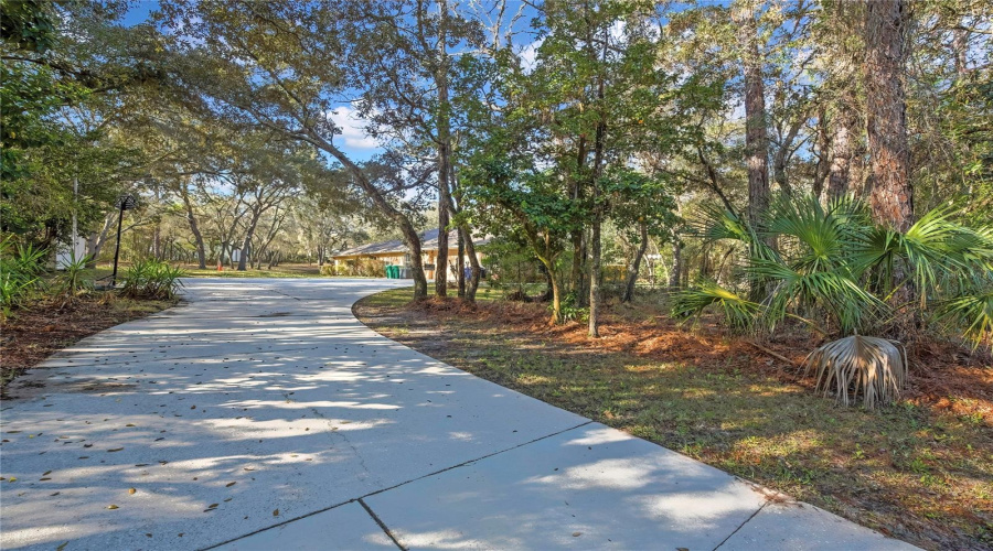 Driveway
