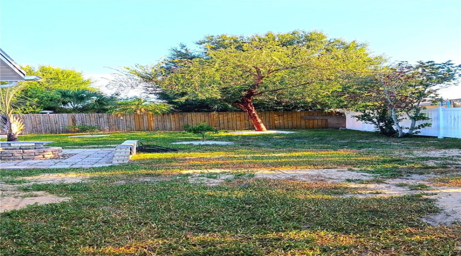 Back Yard