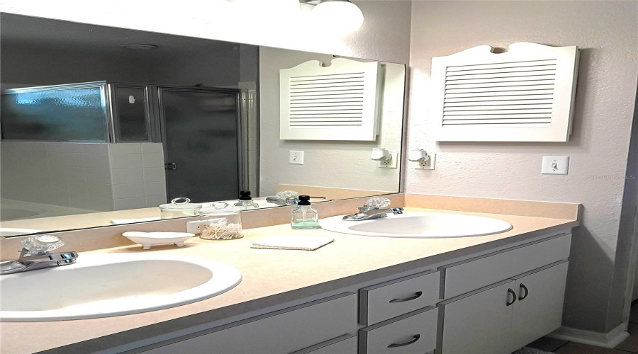 Primary Bathroom Vanity With Double Sinks