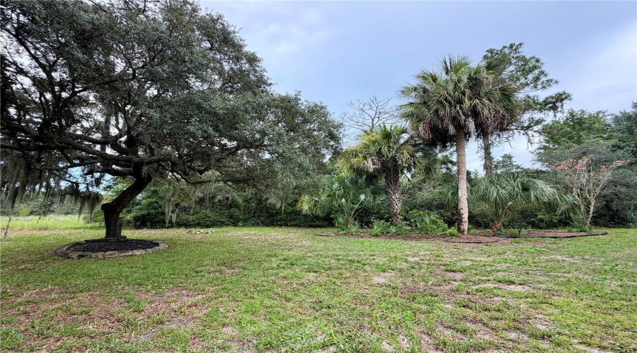Ocala, Florida 34473, 3 Bedroom Bedrooms, ,2 Bathroombathrooms,Residential,For Sale,46Th,0,Mfrr4911835