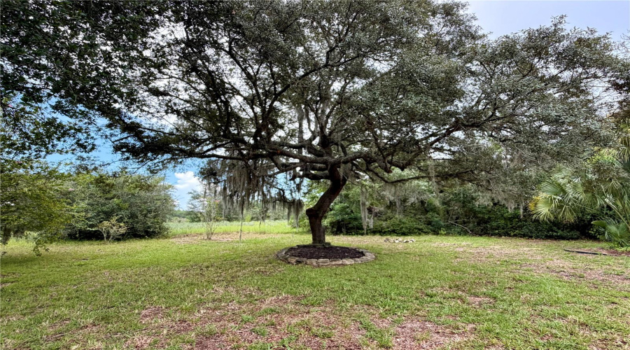 Ocala, Florida 34473, 3 Bedroom Bedrooms, ,2 Bathroombathrooms,Residential,For Sale,46Th,0,Mfrr4911835