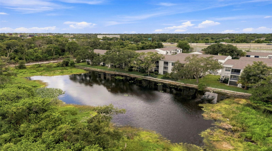 Clearwater, Florida 33759, 1 Bedroom Bedrooms, ,1 Bathroombathrooms,Residential,For Sale,State Road 590,0,Mfrtb8542343