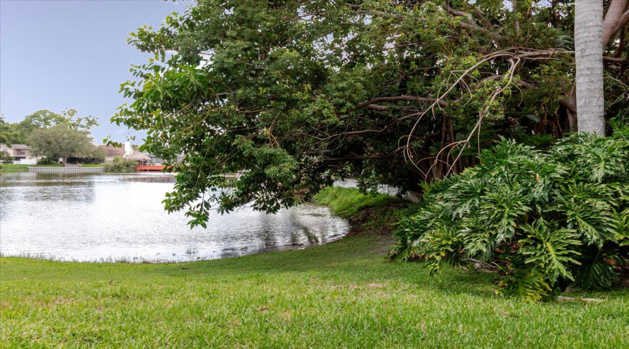 Tampa, Florida 33614, 4 Bedroom Bedrooms, ,2 Bathroombathrooms,Residential,For Sale,La Serena,0,Mfrtb8484918