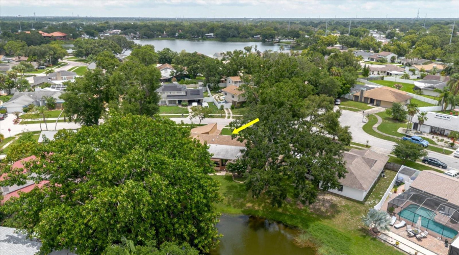 Tampa, Florida 33614, 4 Bedroom Bedrooms, ,2 Bathroombathrooms,Residential,For Sale,La Serena,0,Mfrtb8484918