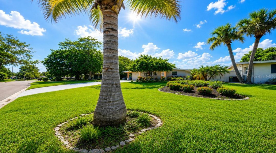 St Petersburg, Florida 33703, 4 Bedroom Bedrooms, ,2 Bathroombathrooms,Residential,For Sale,Davison,0,Mfrtb8536409