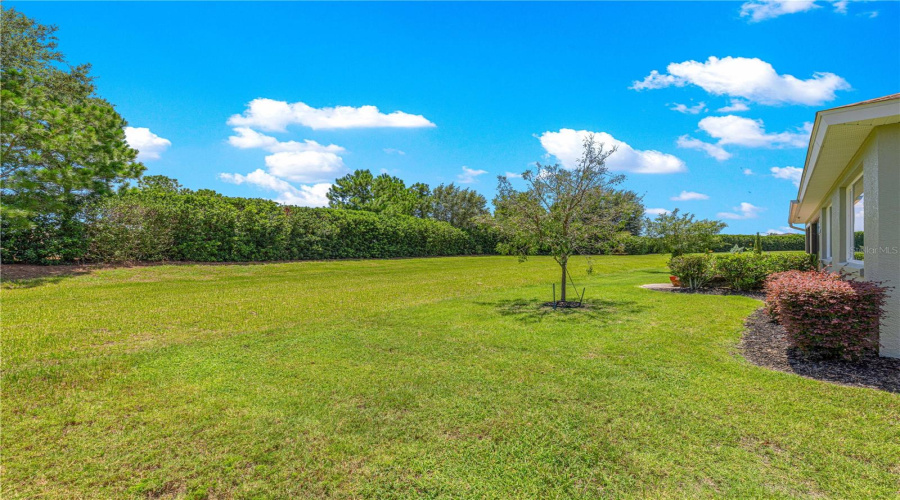 Ocala, Florida 34481, 3 Bedroom Bedrooms, ,3 Bathroombathrooms,Residential,For Sale,93Rd,0,Mfrom729474