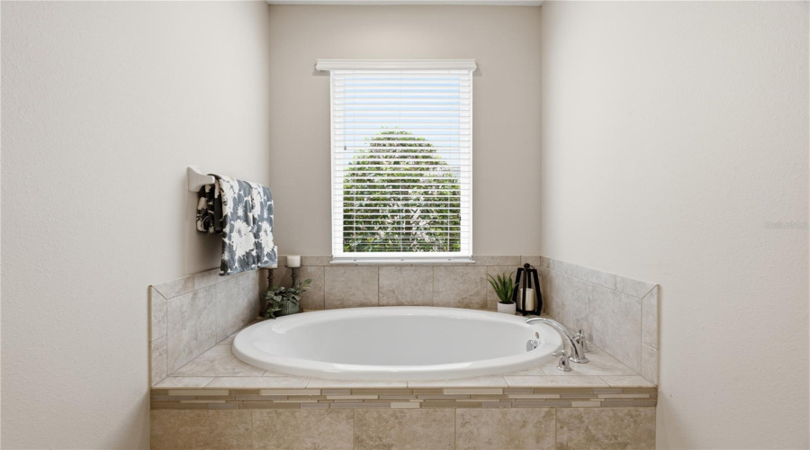 Land O Lakes, Florida 34637, 4 Bedroom Bedrooms, ,3 Bathroombathrooms,Residential,For Sale,Bella Vita,0,Mfrtb8515101