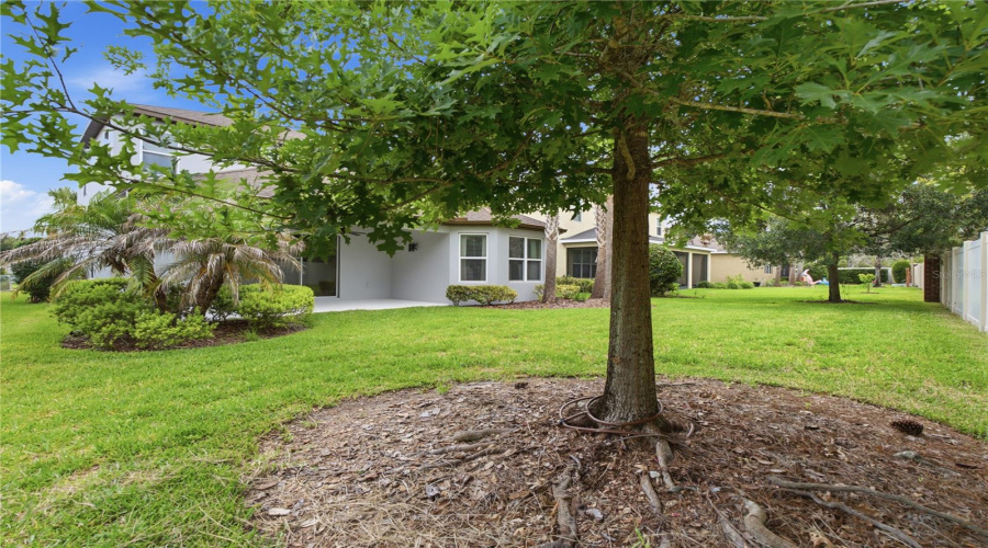 Land O Lakes, Florida 34637, 4 Bedroom Bedrooms, ,3 Bathroombathrooms,Residential,For Sale,Bella Vita,0,Mfrtb8515101