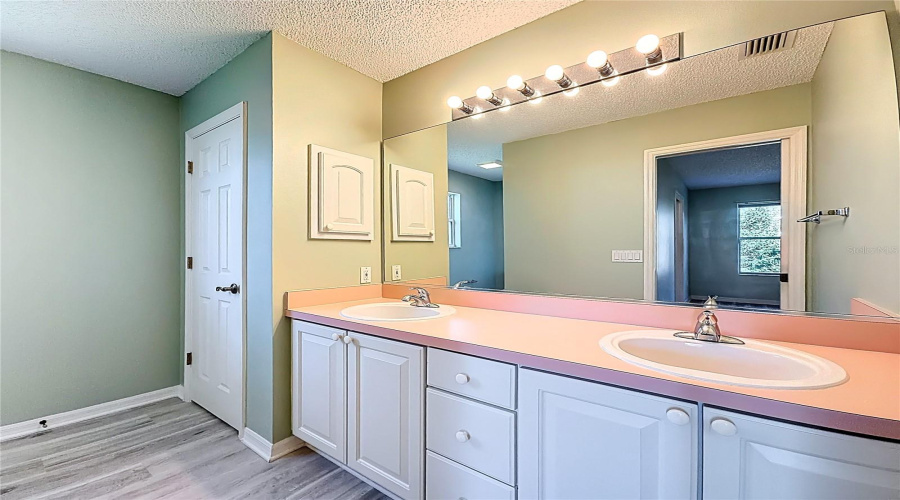 Double-Vanitiy/Master-Bath