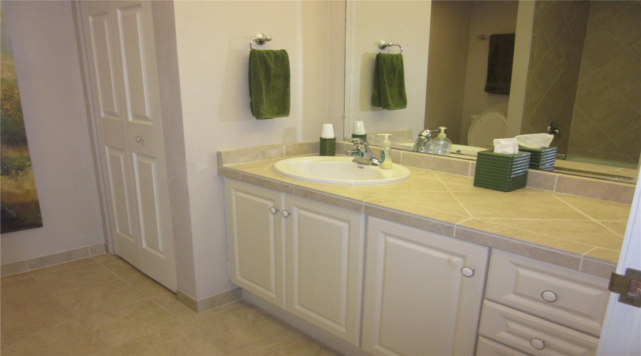 Primary Bath Vanity