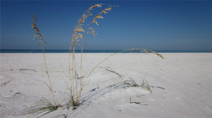 Pristine &Amp; Quiet Beach