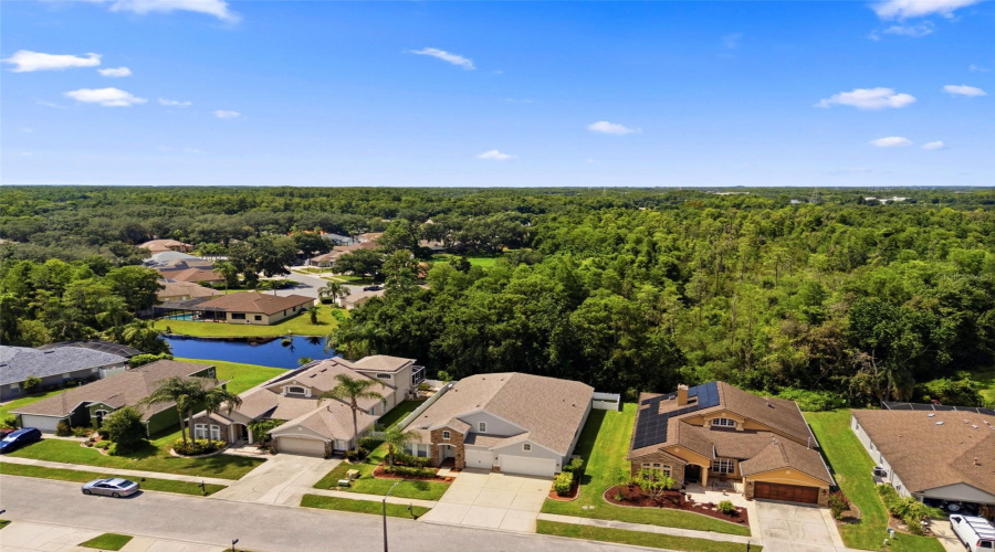 Trinity, Florida 34655, 4 Bedroom Bedrooms, ,3 Bathroombathrooms,Residential,For Sale,Flatwood,0,Mfrtb8531195