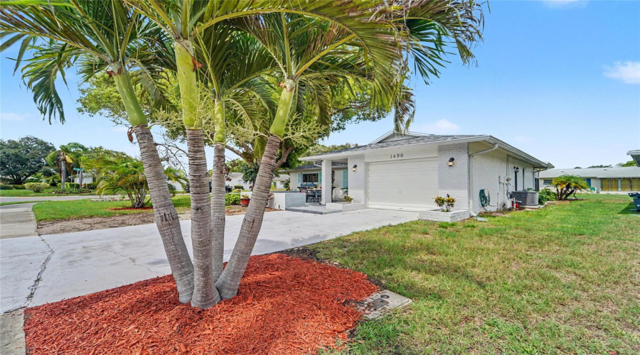 Mature Landscaping