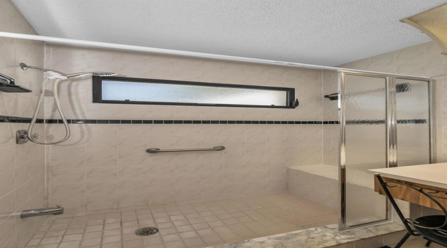 Primary Shower