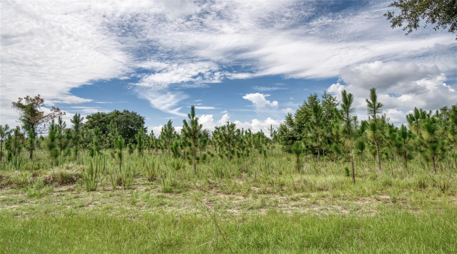 Property Behind Home
