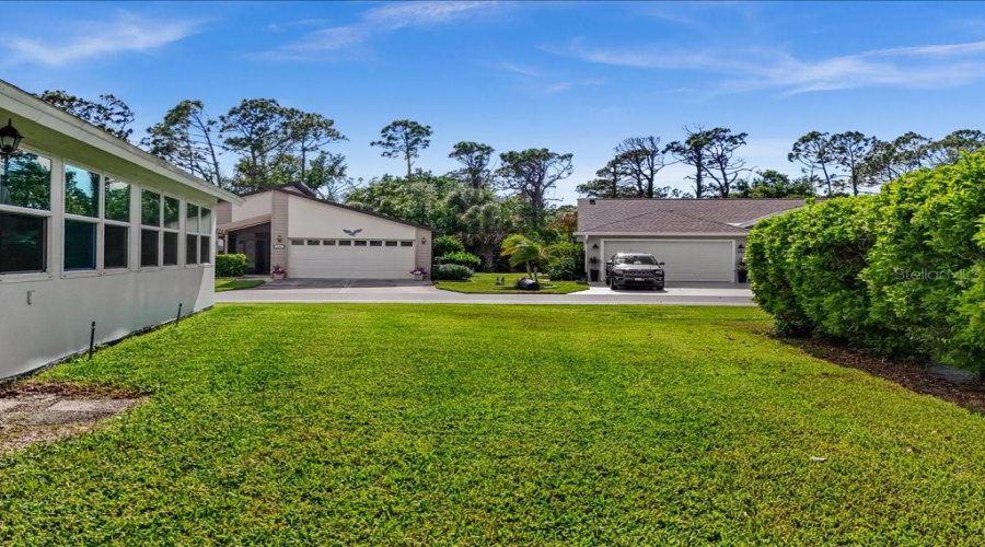 View Of The Backyard.