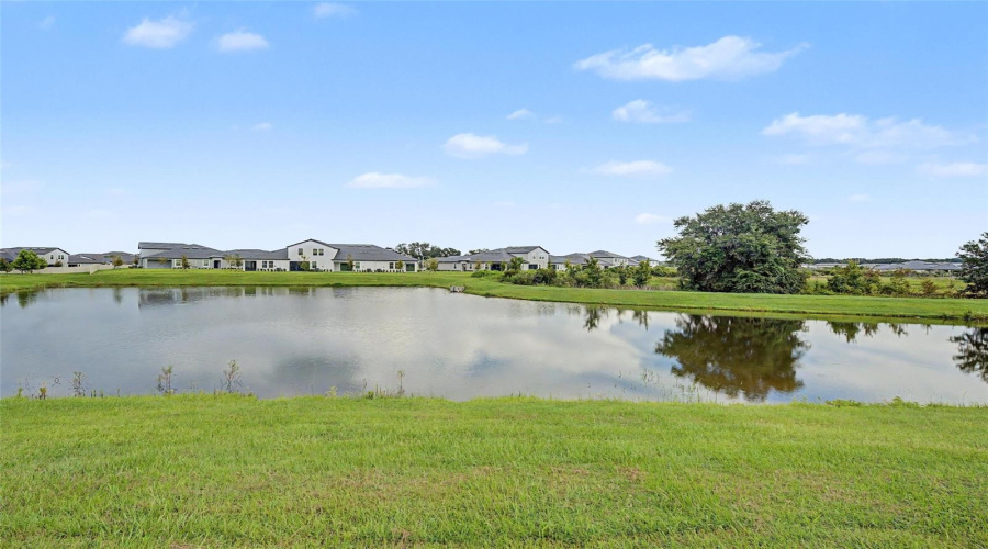 San Antonio, Florida 33576, 3 Bedroom Bedrooms, ,2 Bathroombathrooms,Residential,For Sale,Cardinal Yard,0,Mfrtb8542262