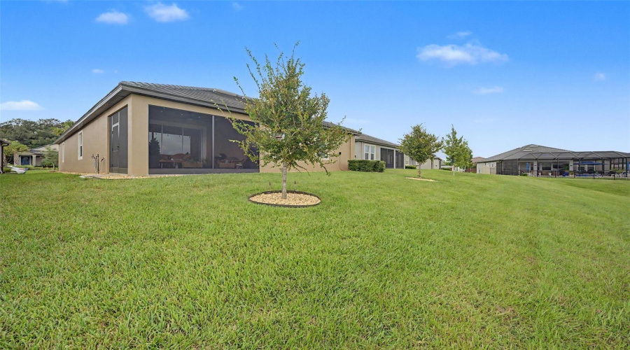 Large Backyard